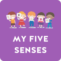 My 5 Senses