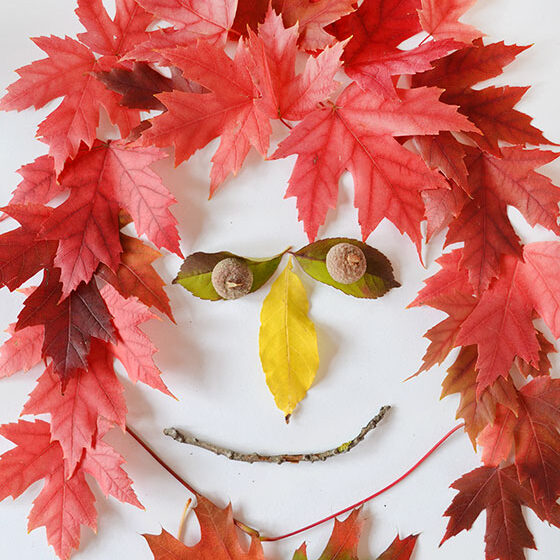leaf-faces-red